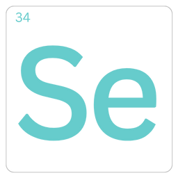 Selenium - سلنیوم