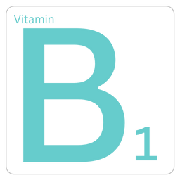 Vitamin B1 - ویتامین ب۱