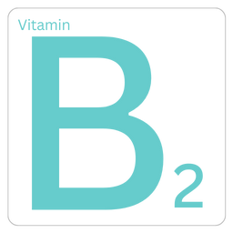 Vitamin B2 - ویتامین ب۲