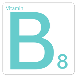 Vitamin B8 - ویتامین ب۸